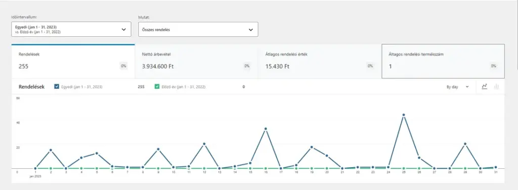 Google Ads hirdetés kezelés eredménye: Webáruház 2023. januári forgalom